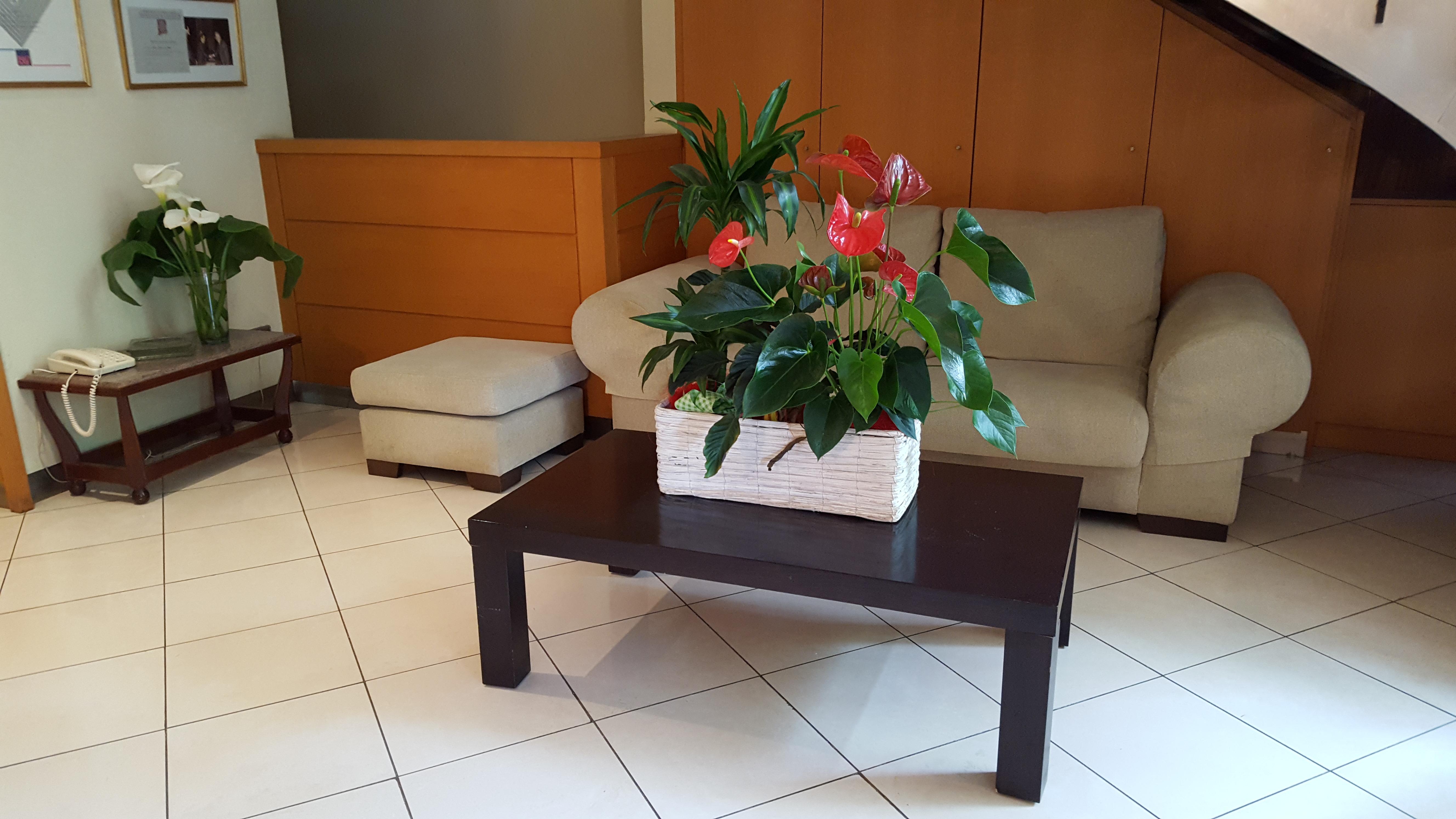 Hotel Segle XX Трем Екстер'єр фото
